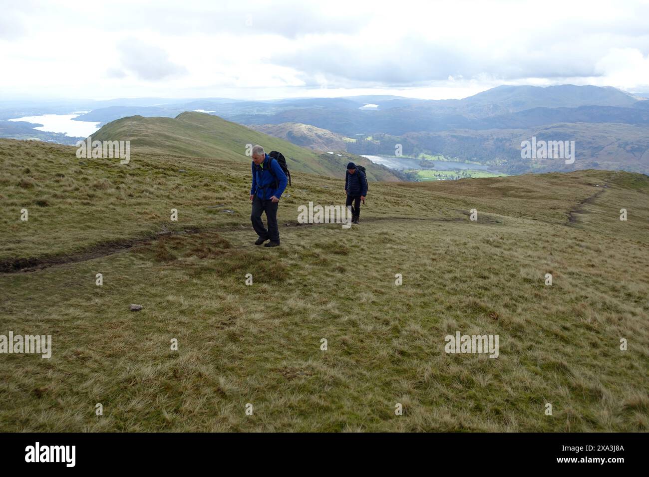 Uomini (escursionisti) camminando fino alla vetta del "Great Rigg" di Wainwright sul Fairfield Horseshoe nel Lake District National Park, Cumbria, Inghilterra. Foto Stock