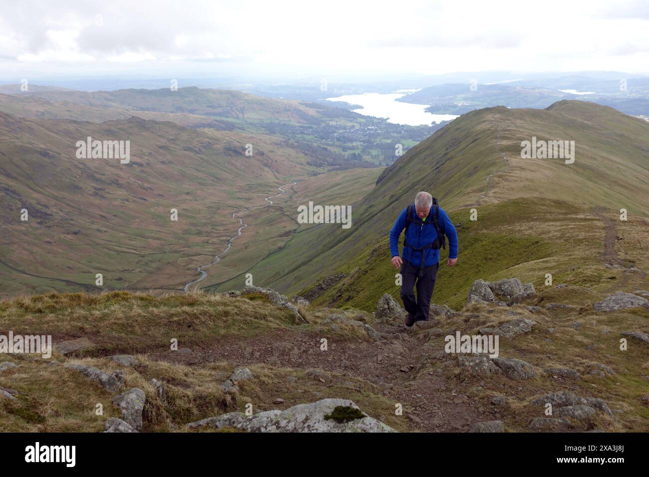 Man (escursionista) camminando fino alla vetta del "Great Rigg" di Wainwright sul Fairfield Horseshoe nel Lake District National Park, Cumbria, Inghilterra. Foto Stock