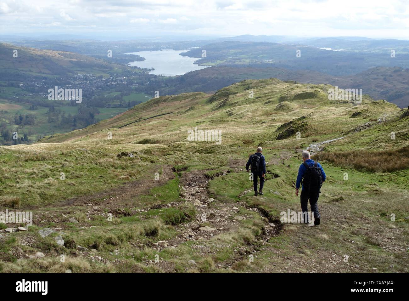 Uomini (escursionisti) a piedi fino al Wainwright 'NAB Scar' sul Fairfield Horseshoe nel Lake District National Park, Cumbria, Inghilterra. Foto Stock