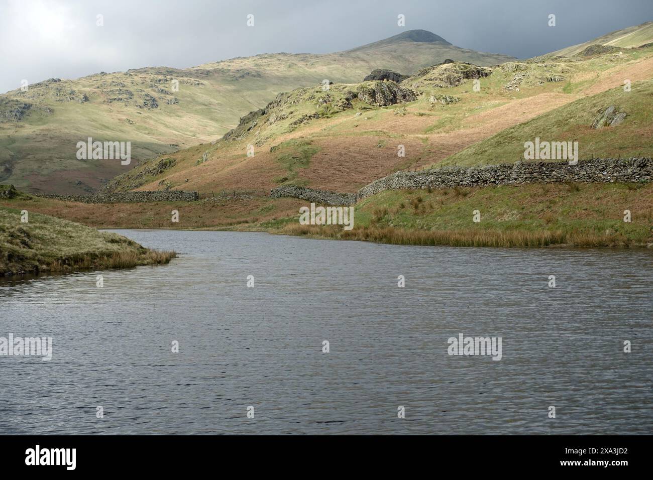 The Wainwrights 'Stone Arthur' & 'Great Rigg' da Alcock Tarn vicino a Grasmere nel Lake District National Park, Cumbria, Inghilterra, Regno Unito. Foto Stock