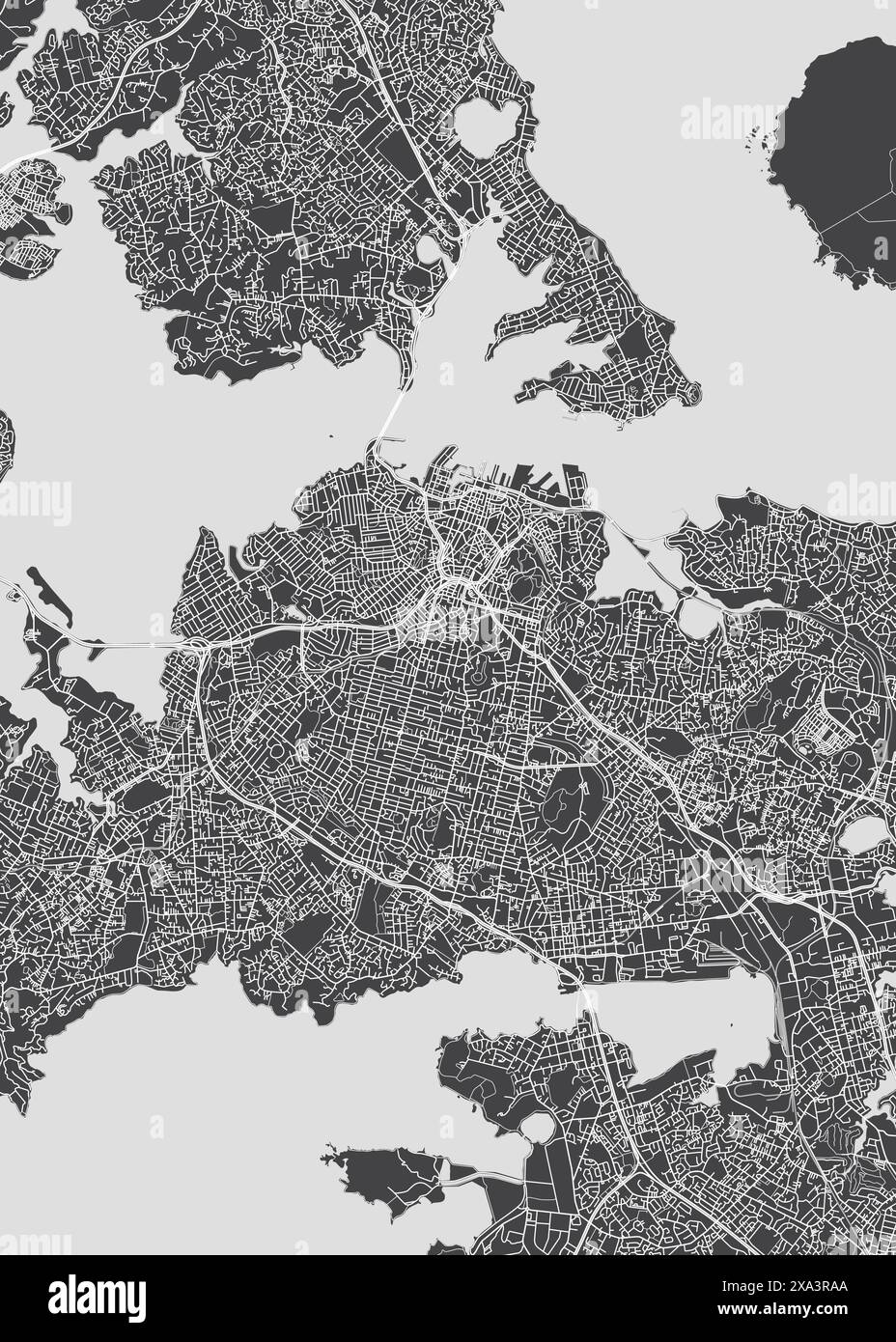 Mappa della città di Auckland, piano dettagliato monocromatico, illustrazione vettoriale Illustrazione Vettoriale