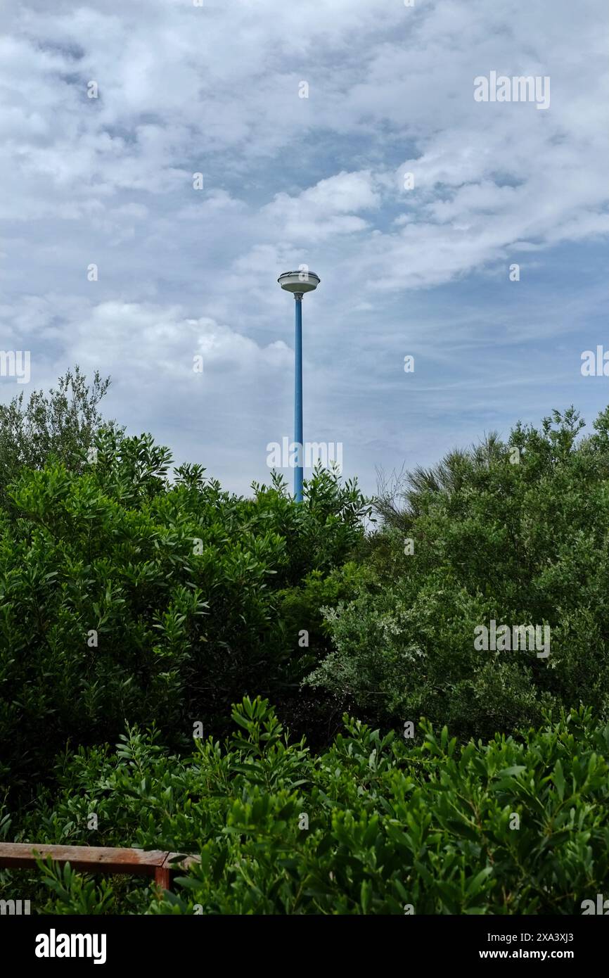 Arbusti verdi e palo blu sormontato da una luce rotonda esterna contro un cielo blu nuvoloso, Coogee, Sydney Foto Stock