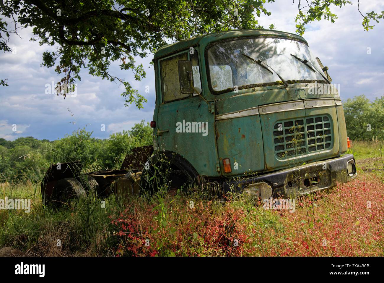 Relitto di un camion Berliet verde tipo GAK, GBK, GCK abbandonato in un prato Foto Stock