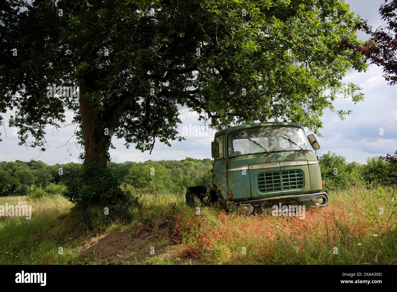 Relitto di un camion Berliet verde tipo GAK, GBK, GCK abbandonato in un prato Foto Stock