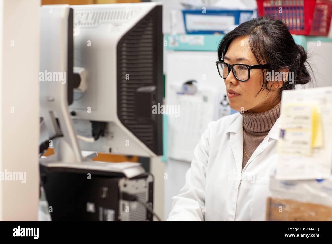 Scienziato che lavora in un computer in un laboratorio, studio medico Regno Unito Foto Stock