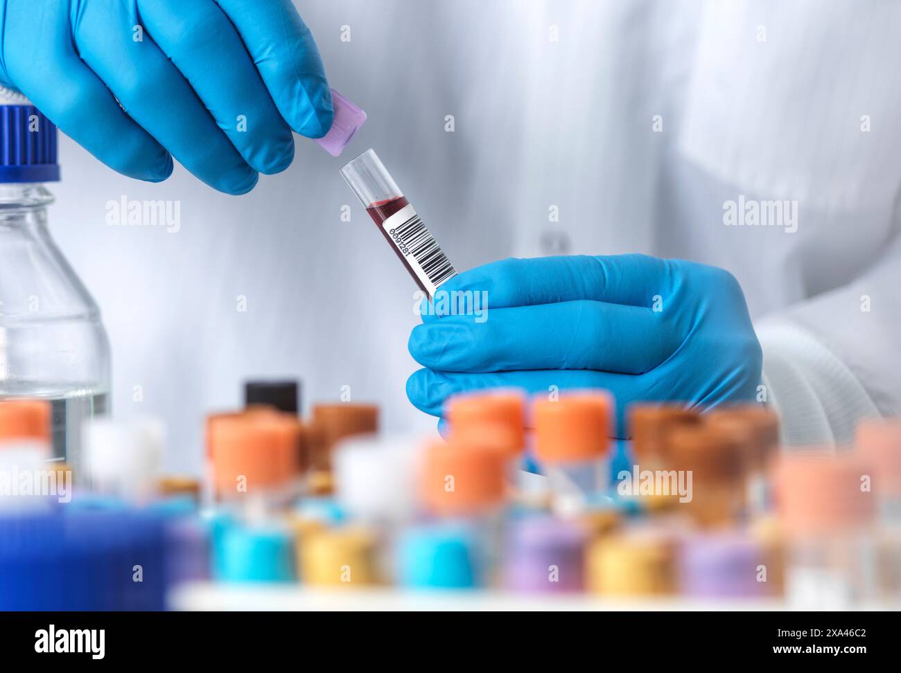 Scienziato che tiene un campione di sangue in un laboratorio Foto Stock