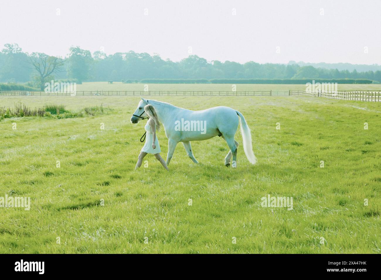 Giovane donna camminare nel paddock leader Cavallo Bianco Foto Stock