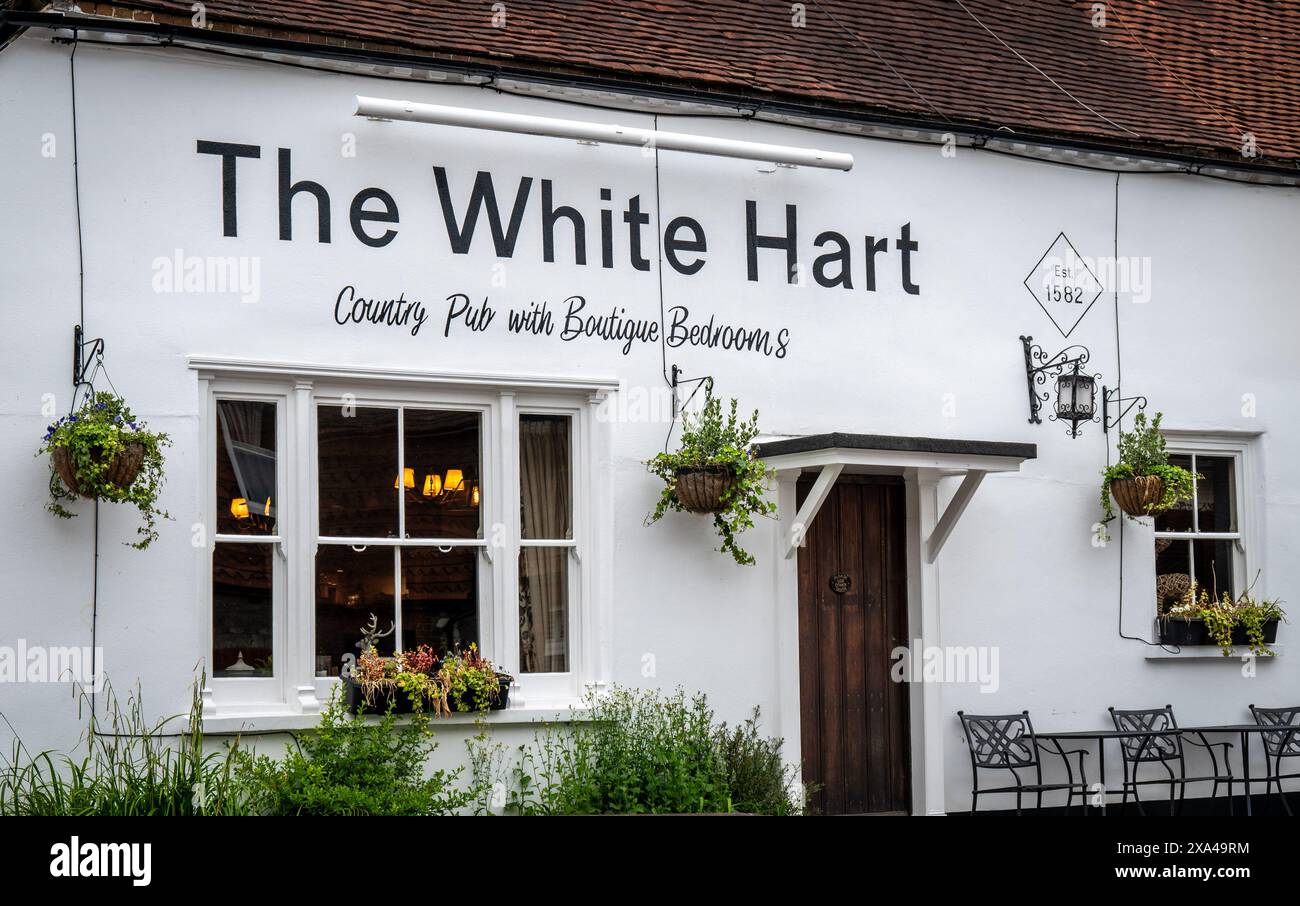 The White Hart, pub rurale, ricco di carattere e fascino, a South Harting, West Sussex, sulla South Downs Way. Foto Stock