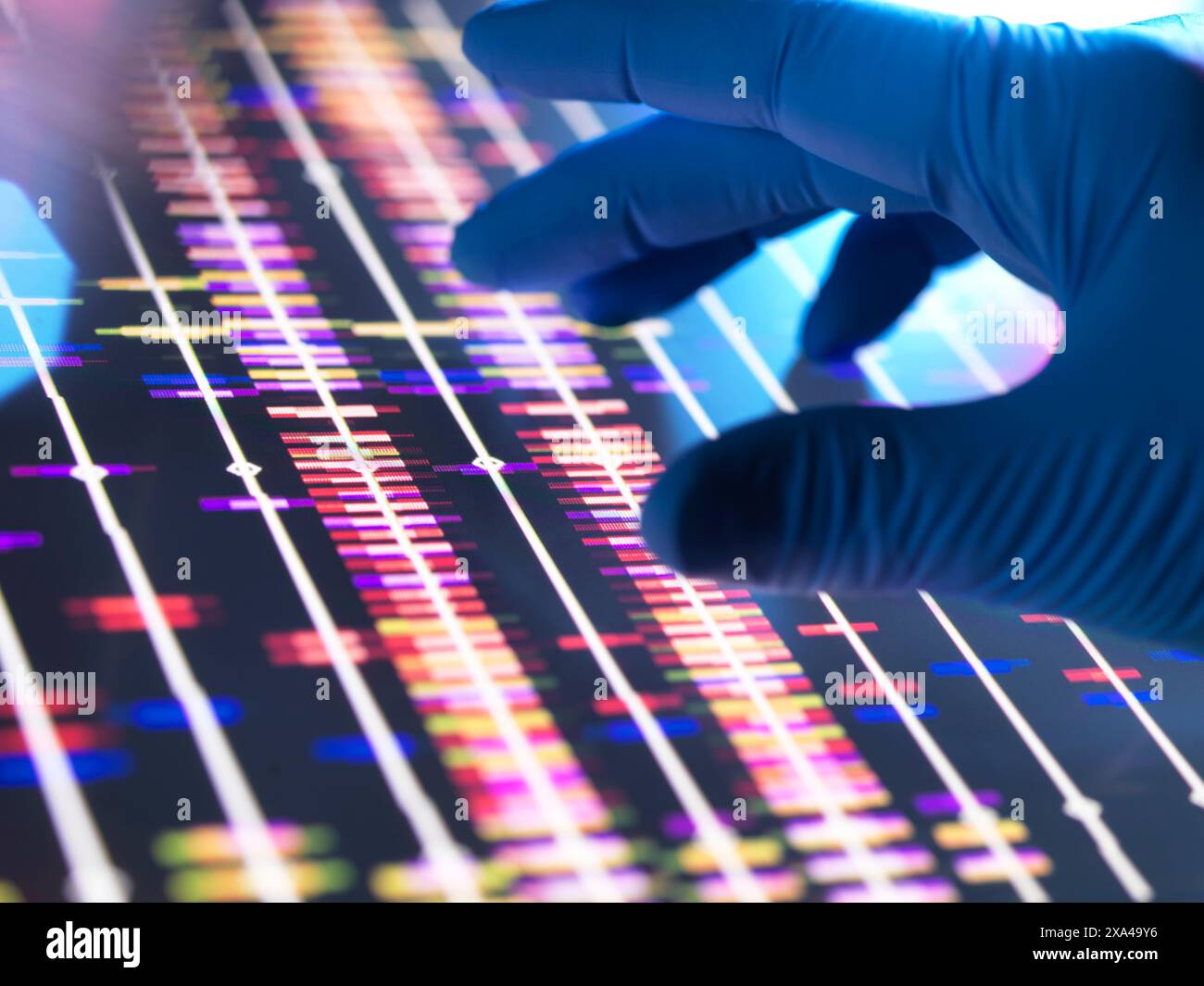 Genomic Research, scienziato che esamina i profili DNA dopo test analitici in laboratorio. Foto Stock