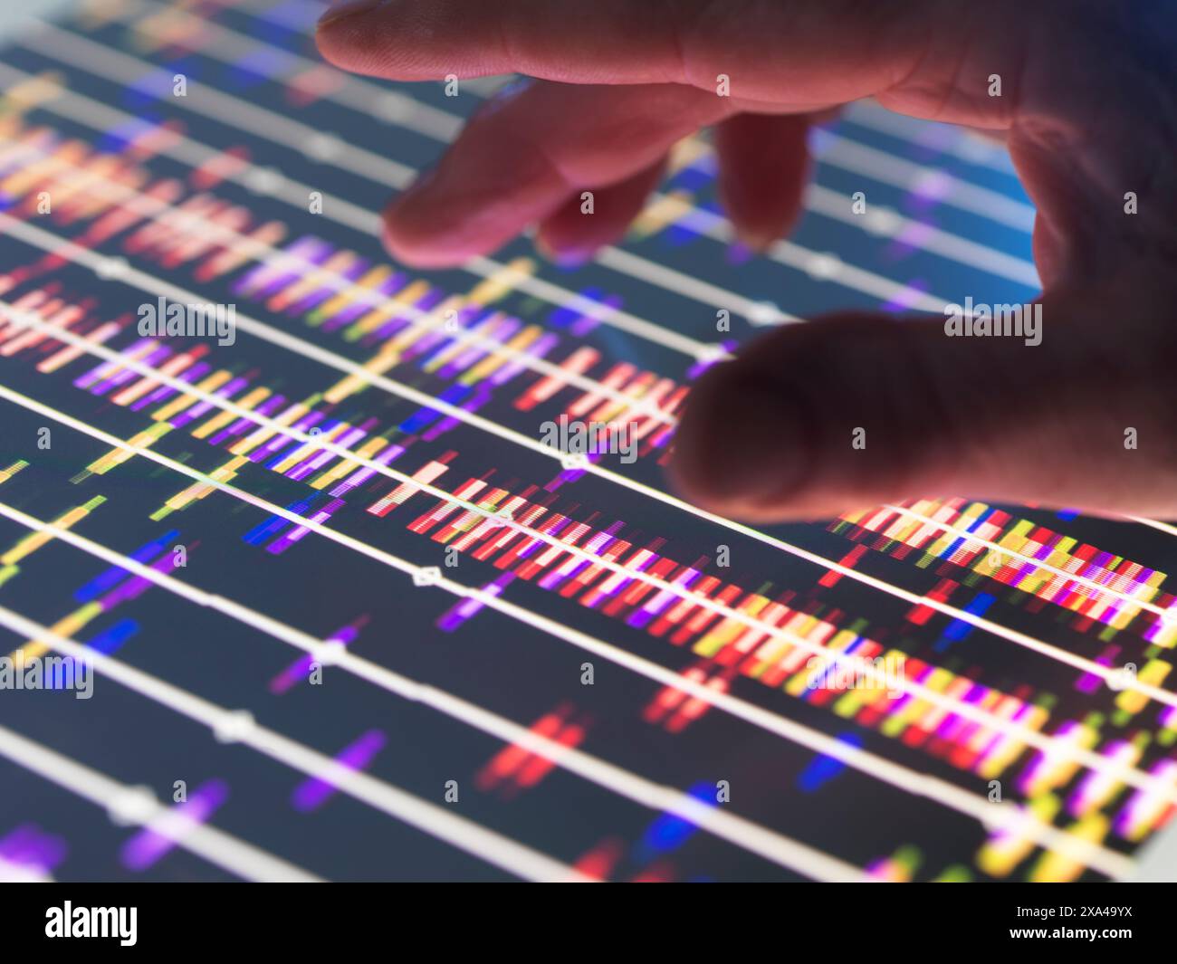 Genomic Research, scienziato che esamina i profili DNA dopo test analitici in laboratorio. Foto Stock