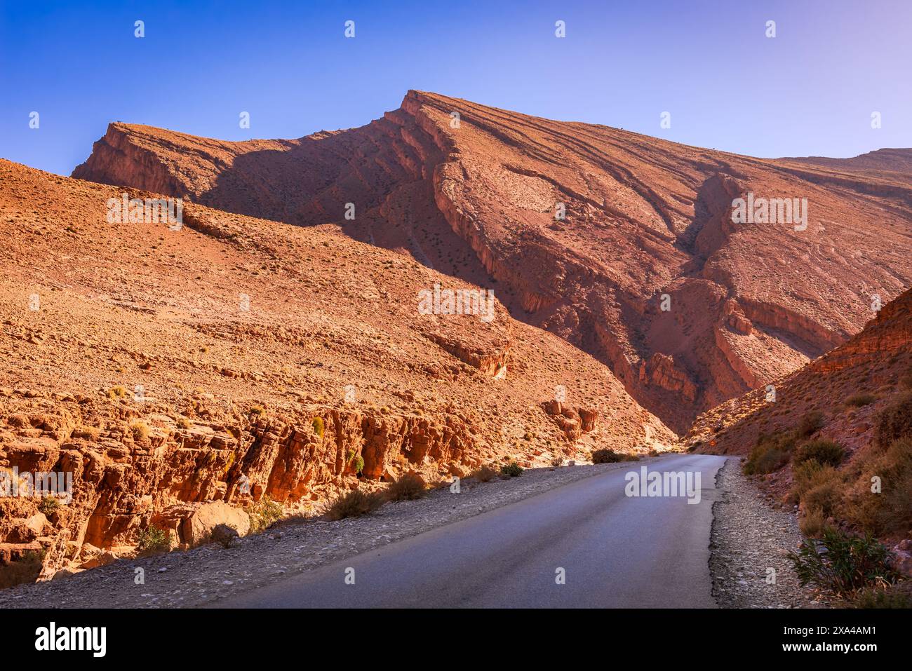 Gola di Todgha, Marocco. Canyon di pietra calcarea, o wadi, nella parte orientale delle montagne dell'alto Atlante, in Nord Africa. Foto Stock