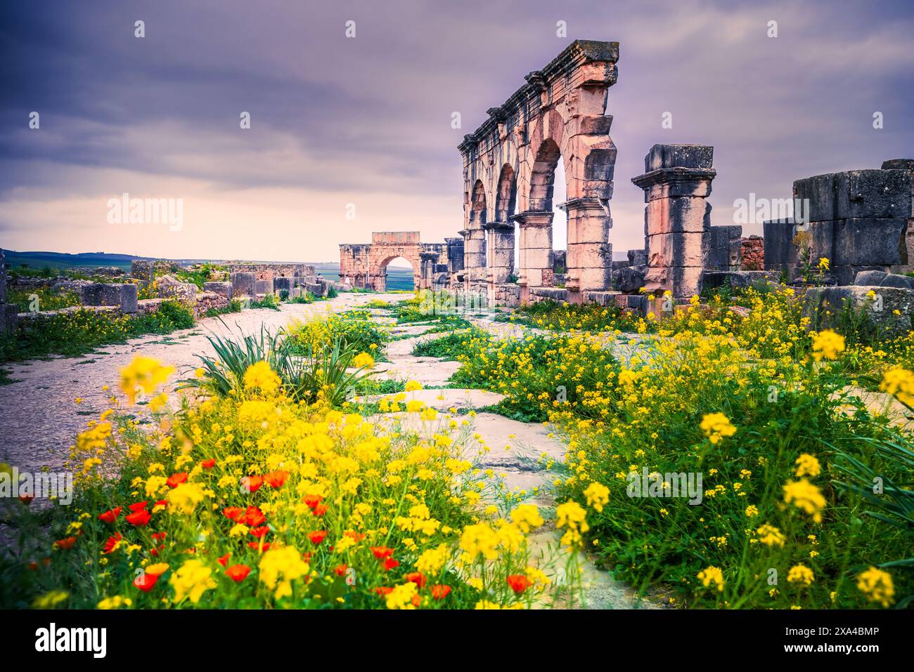 Volubilis, Marocco. Città storica della Mauretania romana, Arco di Caracalla e antiche rovine. Foto Stock