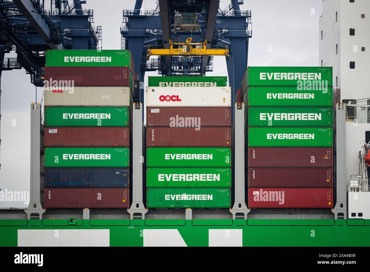 28 maggio 2024, FELIXSTOWE, INGHILTERRA - container da Evergreen sulla nave container Ever Ace. ANP / Hollandse Hoogte / Tobias Kleuver netherlands Out - belgio Out Foto Stock