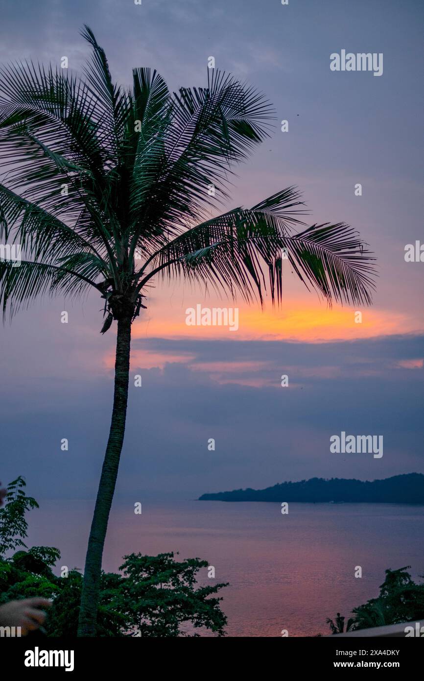 Una serena vista del tramonto dietro una palma con cieli rosa e blu vibranti sopra un mare tranquillo. Foto Stock