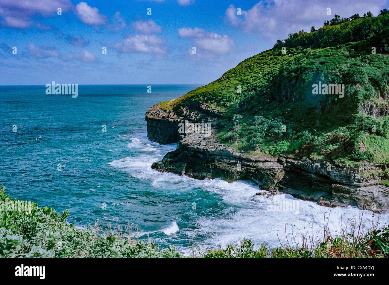 Una vista panoramica di una rigogliosa scogliera verde che si protende nell'oceano sotto un cielo blu con nuvole sparse. Foto Stock