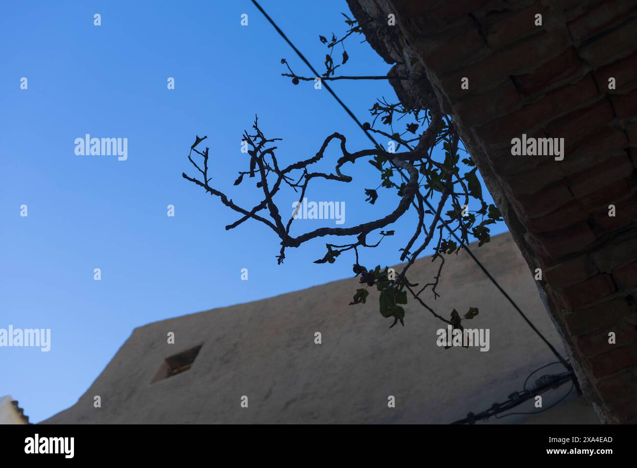 Foto di un cielo blu sopra un piccolo cortile nel vecchio villaggio mediterraneo dell'isola di pag in Croazia Foto Stock