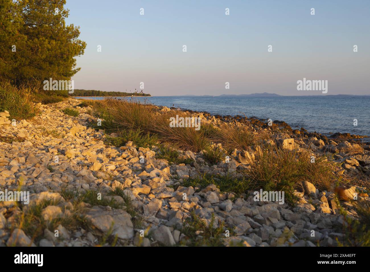 Foto all'orizzonte alto di una costa adriatica occulta al tramonto sull'isola di Vir in Croazia Foto Stock