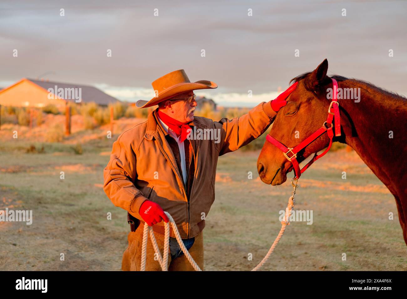 Un uomo con un cappello da cowboy e una giacca rossa si erge all'aperto al tramonto, toccando delicatamente la testa di un cavallo di castagno con una casa e una collina sullo sfondo. Foto Stock