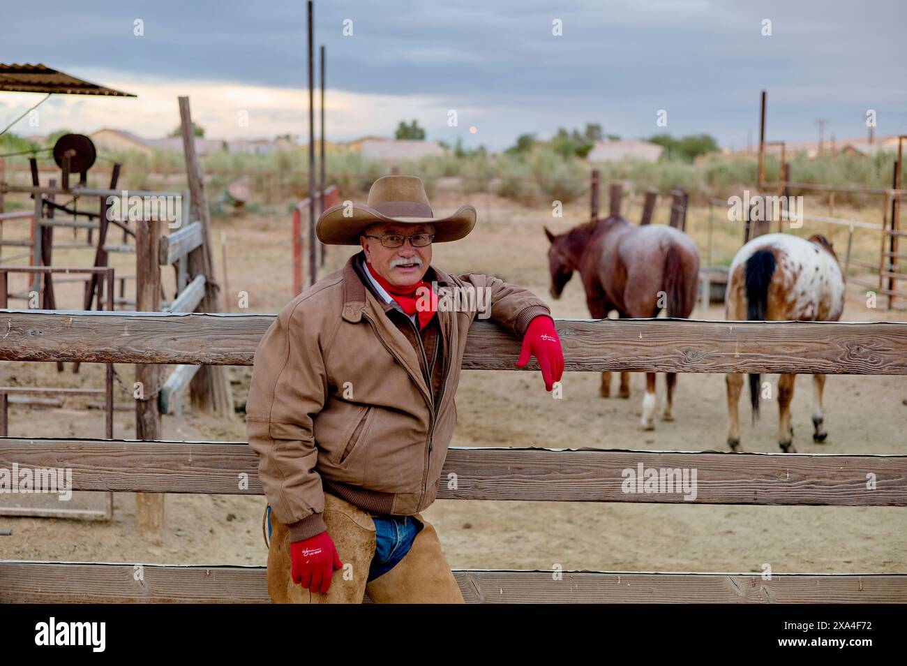 Un uomo si erge appoggiato su una recinzione di legno in un ranch, indossando una giacca abbronzante, una sciarpa rossa e un cappello, con cavalli sullo sfondo. Foto Stock