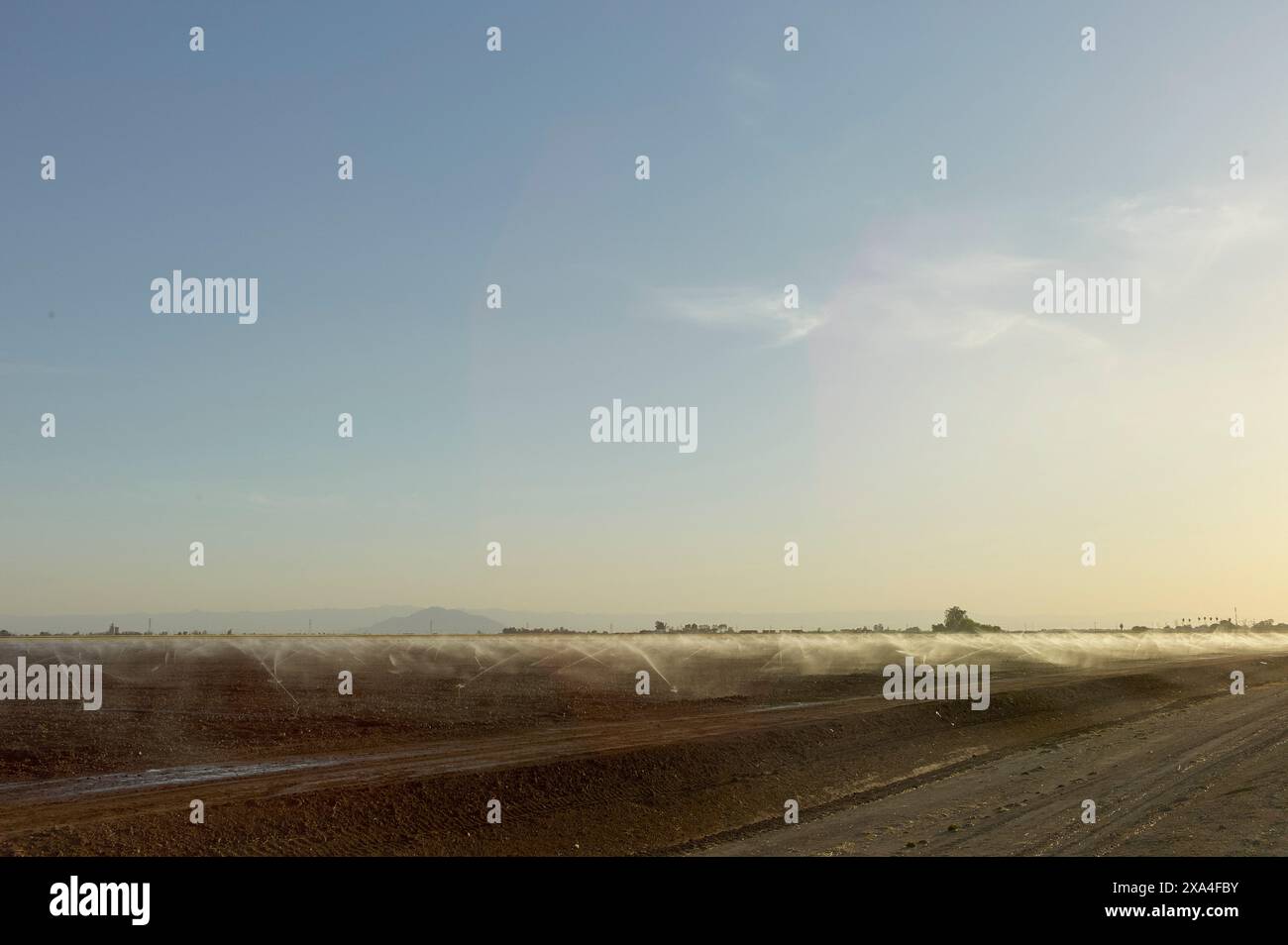 Un vasto campo agricolo sotto un cielo limpido con un sistema di irrigazione che spruzza acqua, creando una nebbia sulle colture con montagne lontane all'orizzonte. Foto Stock