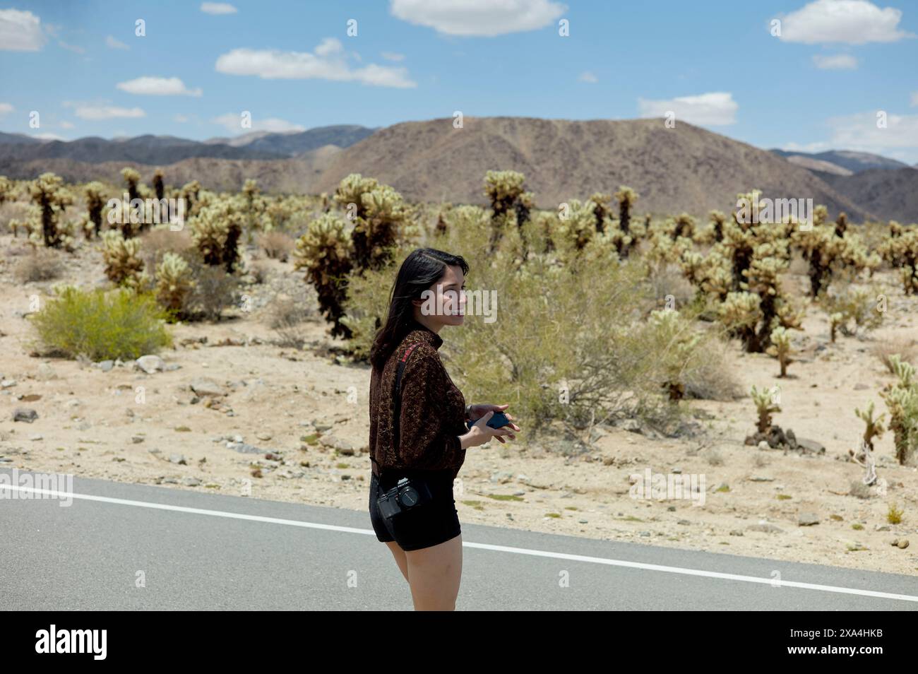 Una donna si trova accanto a una strada circondata da vegetazione desertica sotto un cielo luminoso con nuvole sparse. Foto Stock