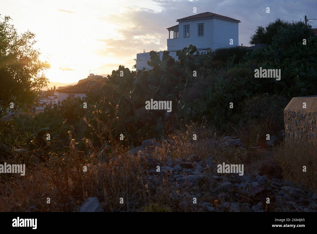 Vista del tramonto dietro una tradizionale casa bianca con erba selvatica e cactus in primo piano. Foto Stock