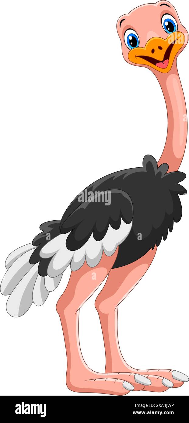Carino cartone animato di struzzo isolato su sfondo bianco Illustrazione Vettoriale