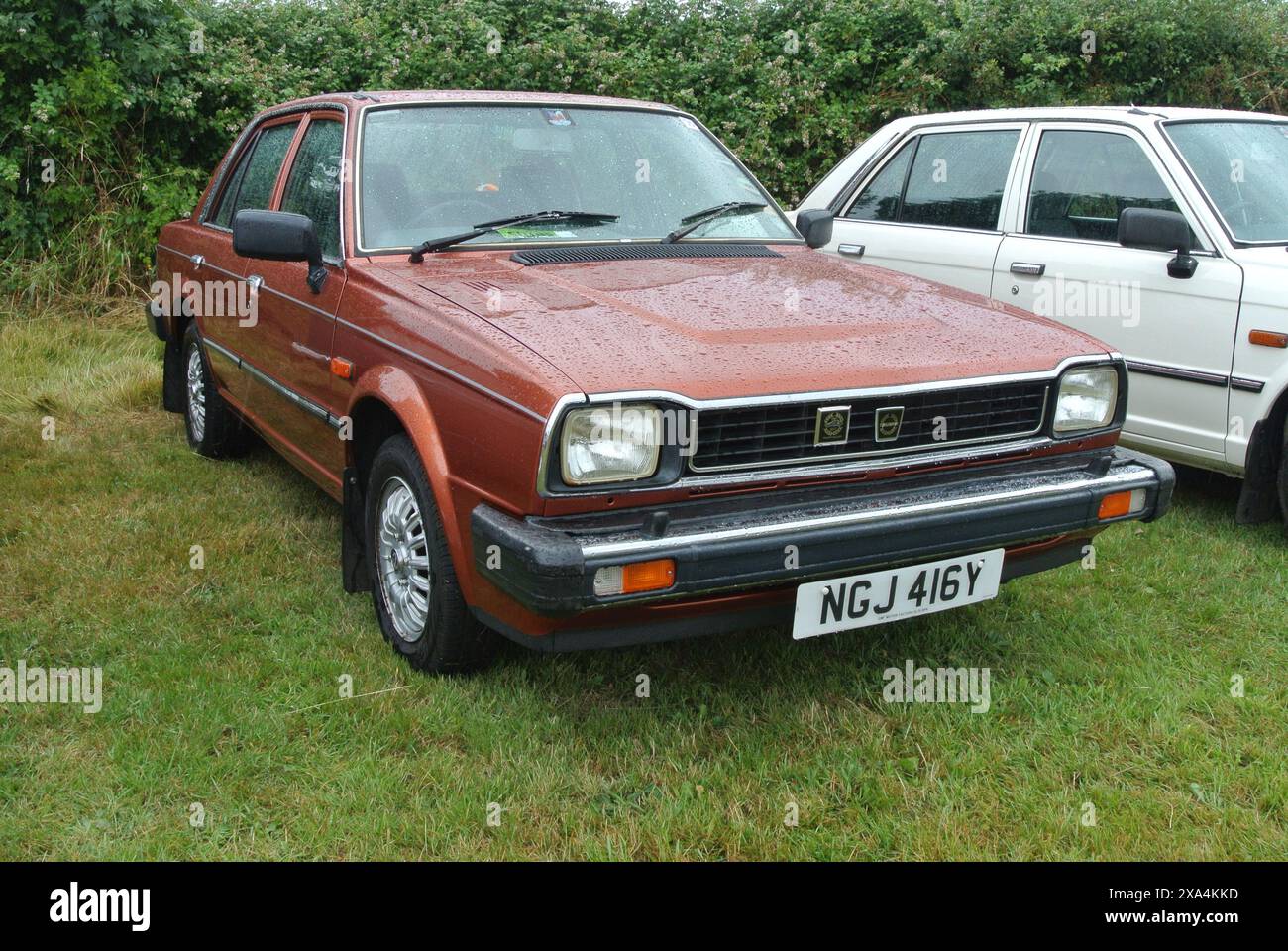 Un'auto CD della Triumph Acclaim del 1983 parcheggiata in mostra al 48th Historic Vehicle Gathering, Powderham, Devon, Inghilterra, Regno Unito. Foto Stock