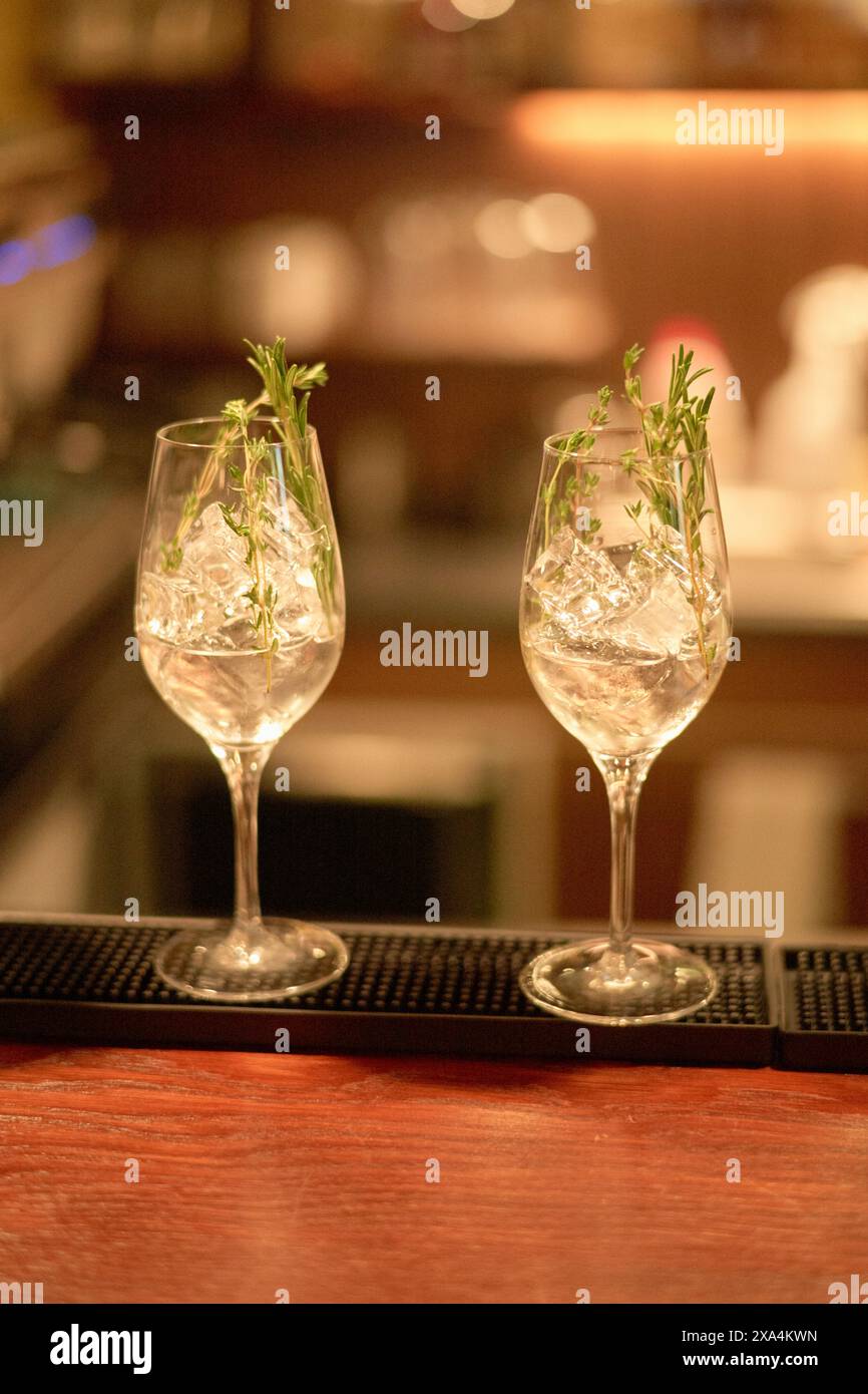Due eleganti bicchieri riempiti di liquido trasparente e decorati con rametti di erbe aromatiche sono presentati su un bancone, con uno sfondo caldo e leggermente sfocato. Foto Stock Due eleganti bicchieri riempiti di liquido trasparente e decorati con rametti di erbe aromatiche sono presentati su un bancone, con uno sfondo caldo e leggermente sfocato. Foto Stock