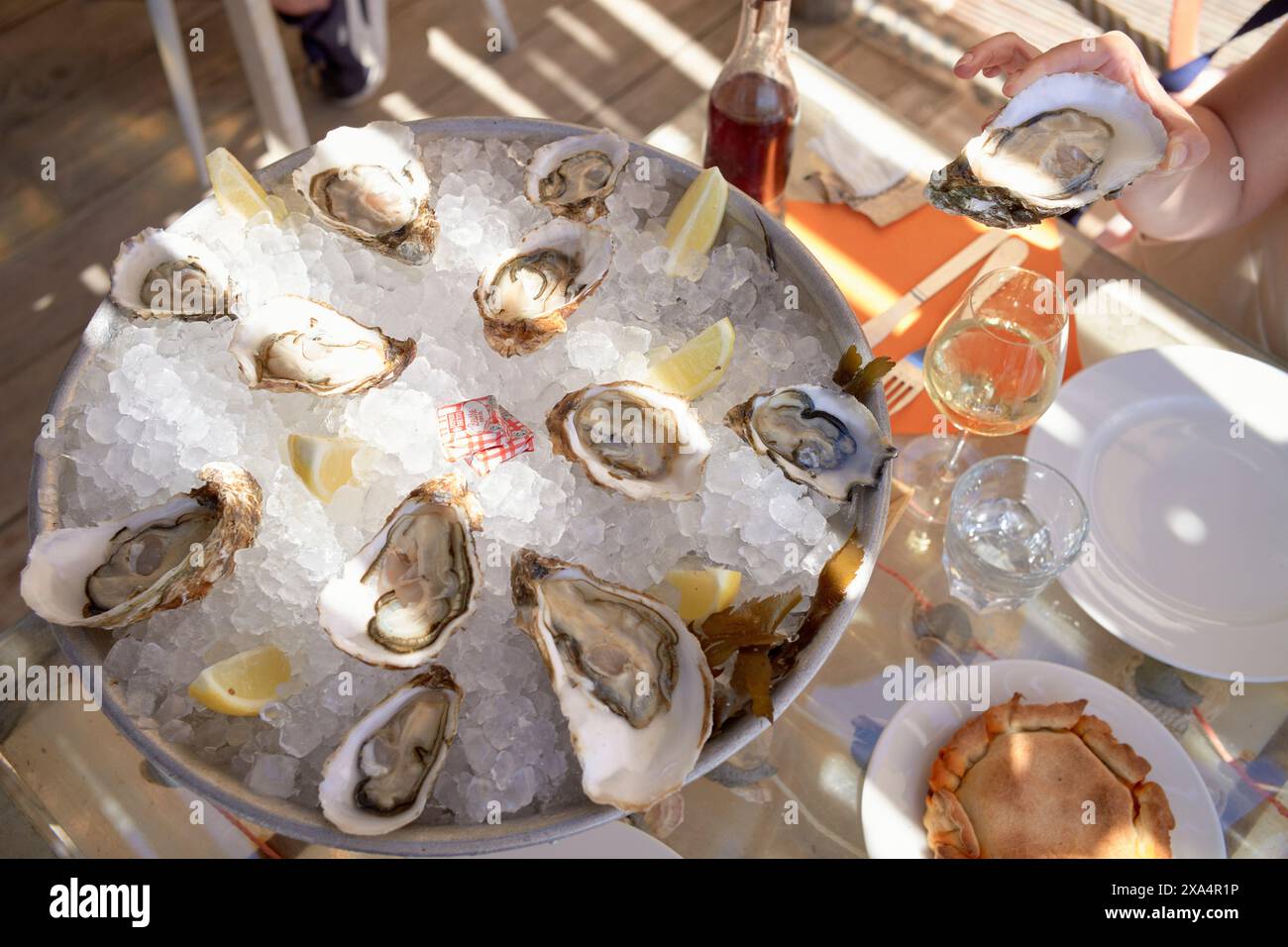 Un piatto di ostriche fresche su ghiaccio viene servito su un tavolo all'aperto insieme a un bicchiere di vino bianco, una bottiglia e un piatto vuoto. Foto Stock
