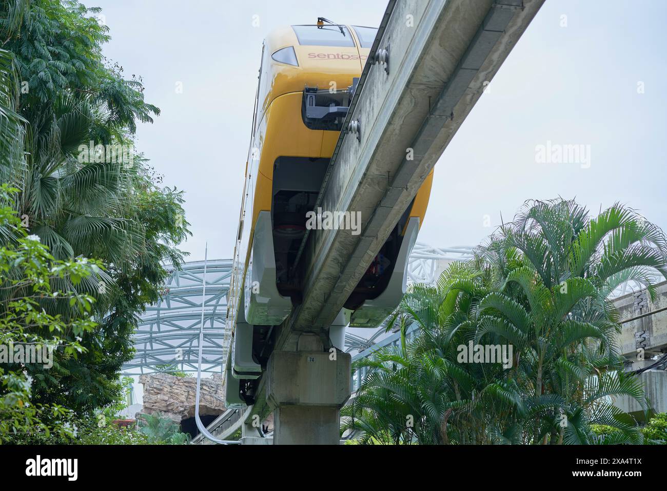 Un treno monorotaia che emerge dal verde lussureggiante su un binario sopraelevato. Foto Stock