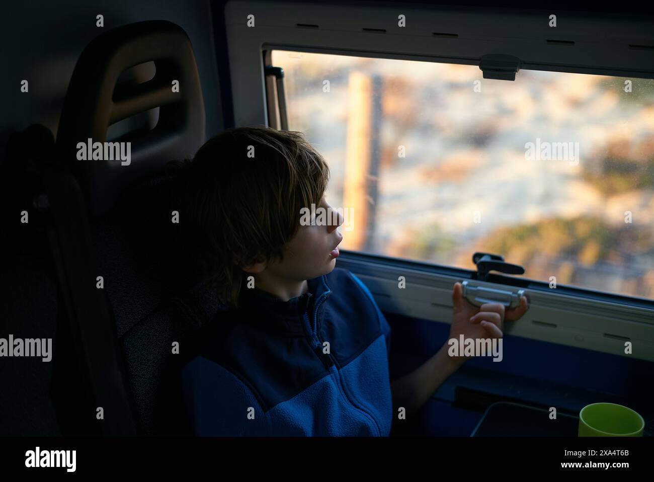 Un giovane guarda attentamente fuori dal finestrino di un treno mentre tiene in mano uno smartphone, con lo scenario all'aperto sfocato sullo sfondo. Foto Stock