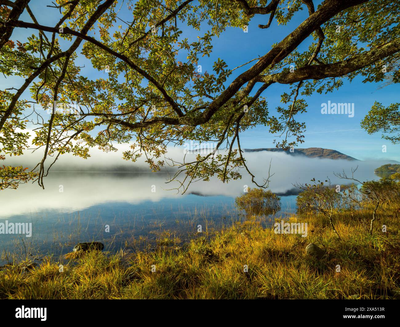 La nebbia si libra su un tranquillo lago con chiari riflessi di alberi e una montagna sotto un cielo blu. Loch Arkaig Foto Stock