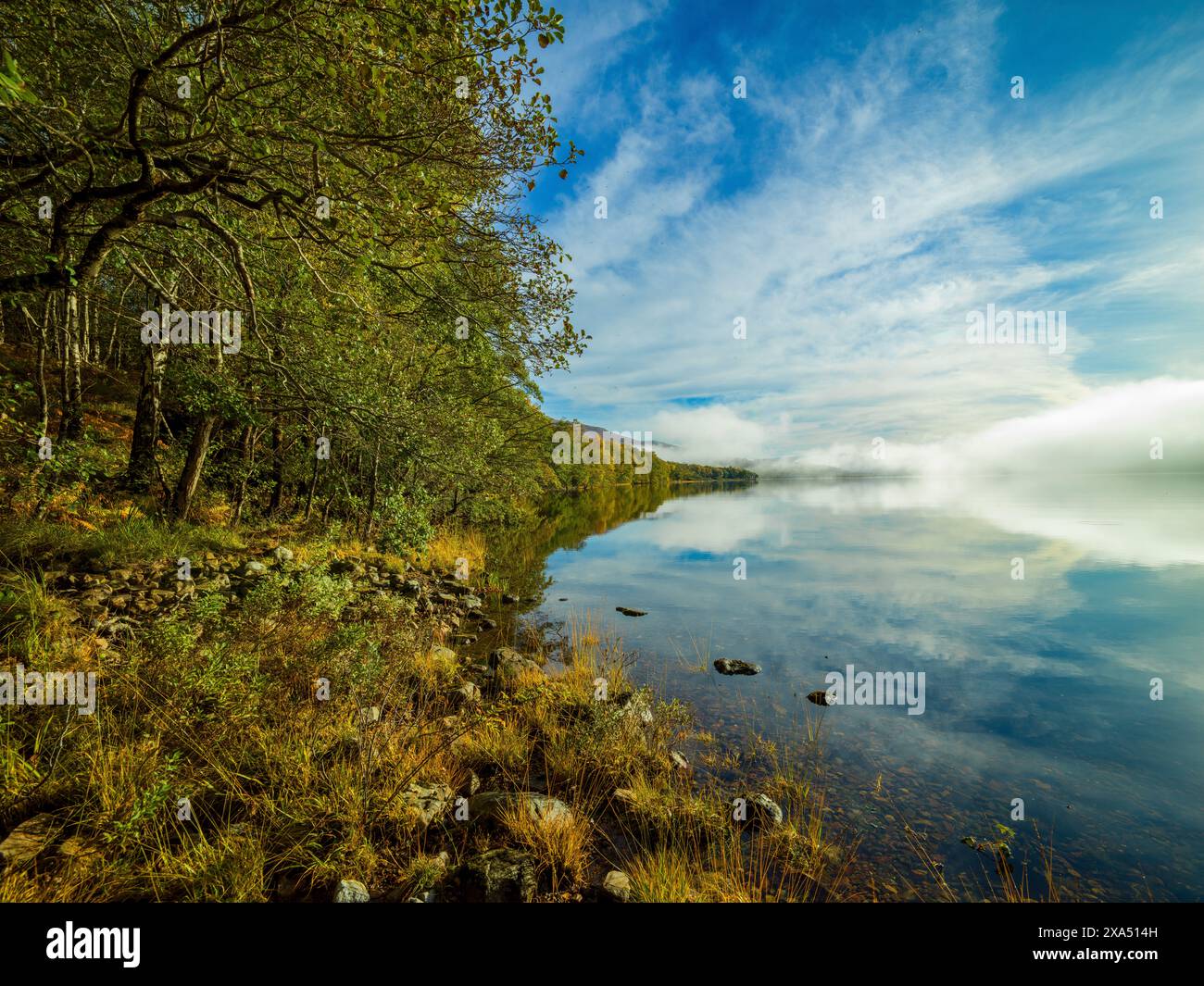 Tranquillo paesaggio lacustre con cieli azzurri e riflessi sull'acqua, fiancheggiato da un fogliame verde. Loch Arkaig Foto Stock