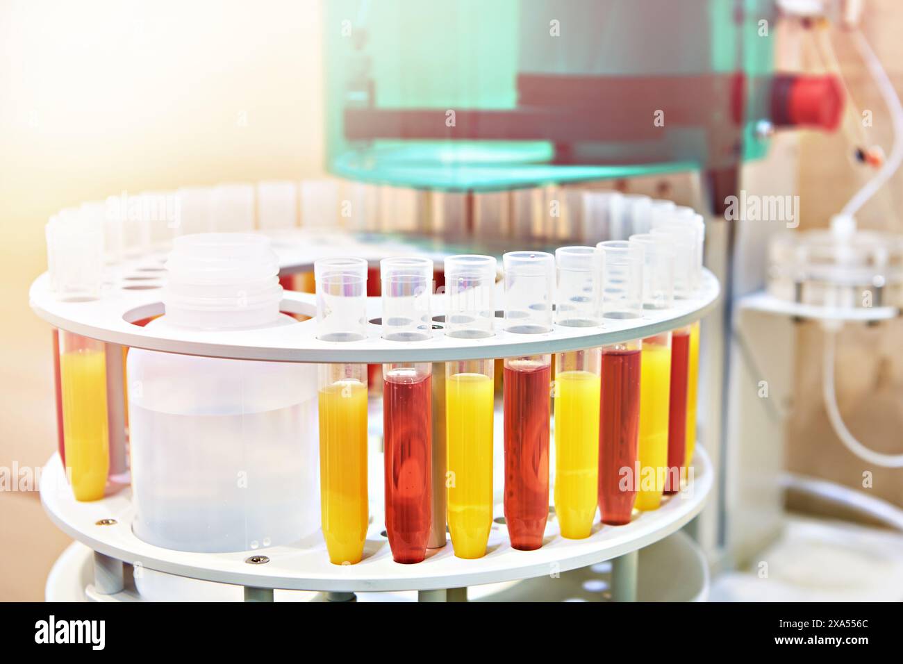 Pompa professionale per processatore di campioni da laboratorio. Automazione nella cromatografia a scambio ionico Foto Stock