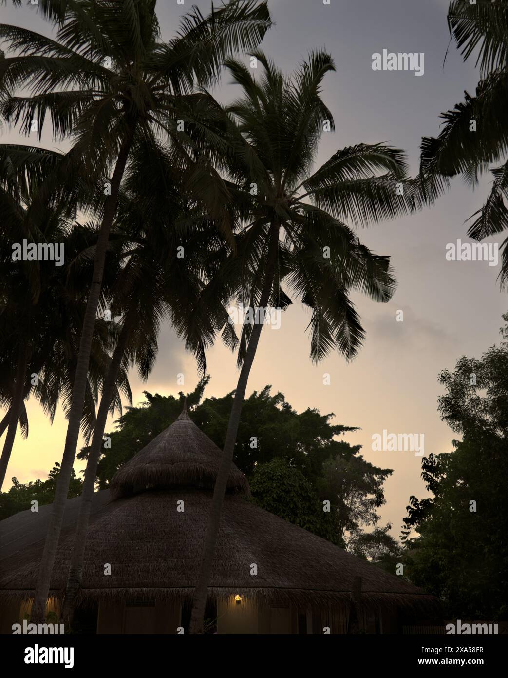 Resort con tetto di paglia con palme sotto il cielo nuvoloso Foto Stock