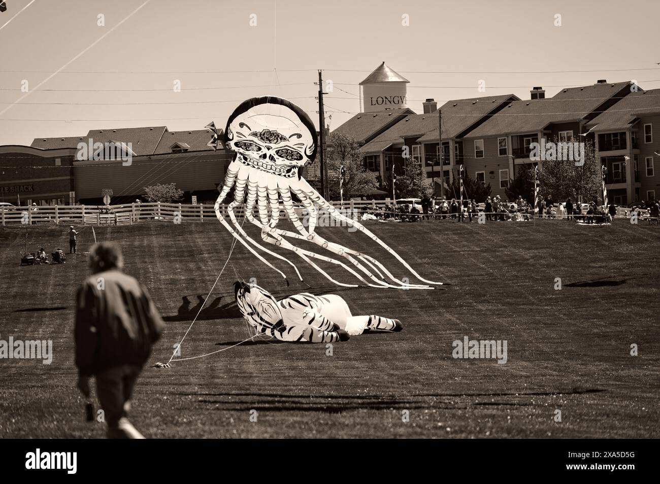 Un gruppo di individui in un cortile, che volano con aquiloni di grandi dimensioni Foto Stock