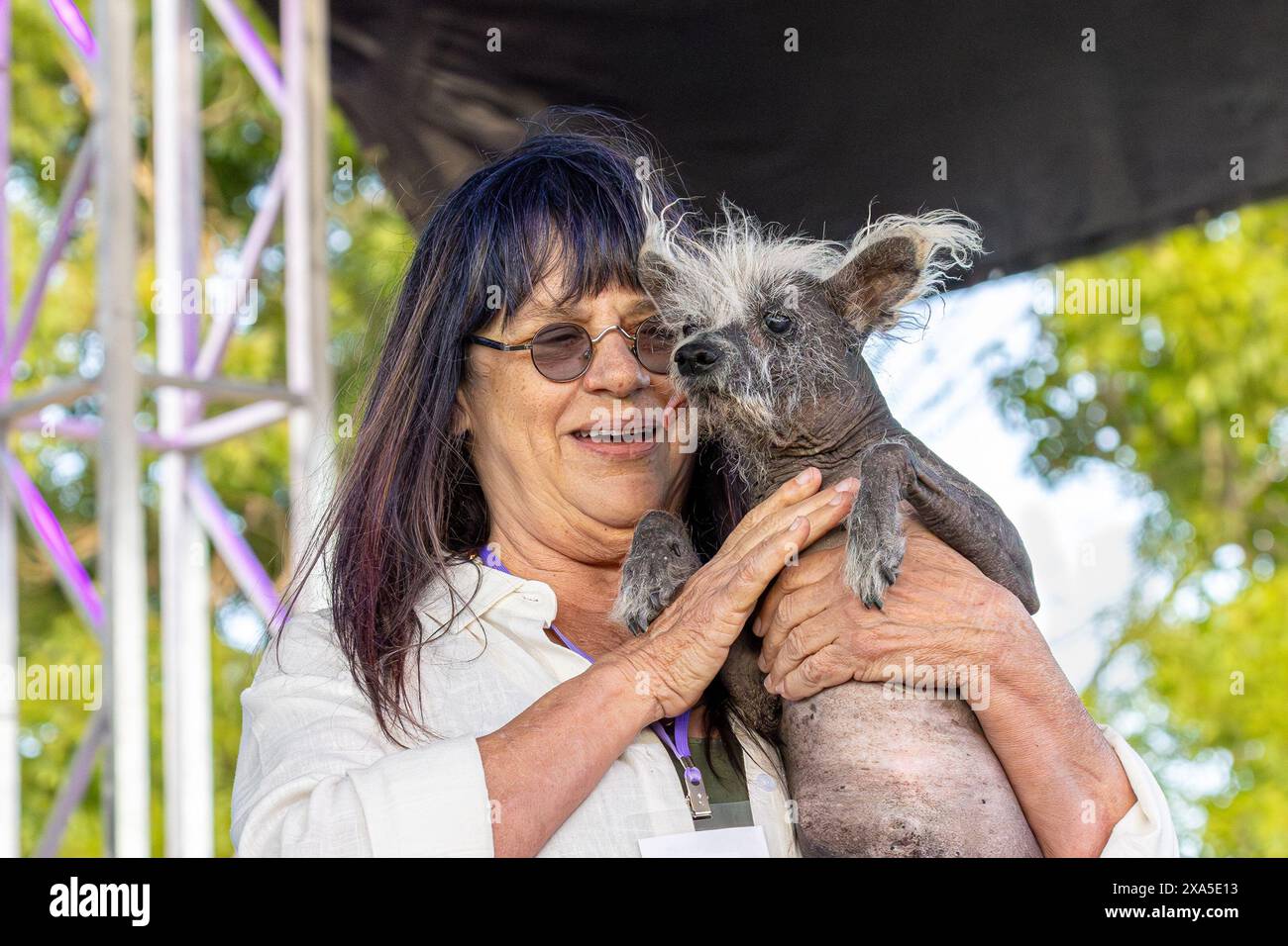 Petaluma, California, Stati Uniti. 23 giugno 2023. Linda Elmquist e "Scooter", una bambina cinese di 7 anni, vincitrice del 2023 World's Ugliest Dog Foto Stock