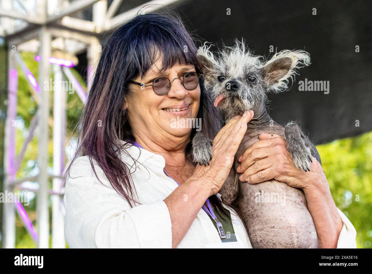 Petaluma, California, Stati Uniti. 23 giugno 2023. Linda Elmquist e "Scooter", una bambina cinese di 7 anni, vincitrice del 2023 World's Ugliest Dog Foto Stock
