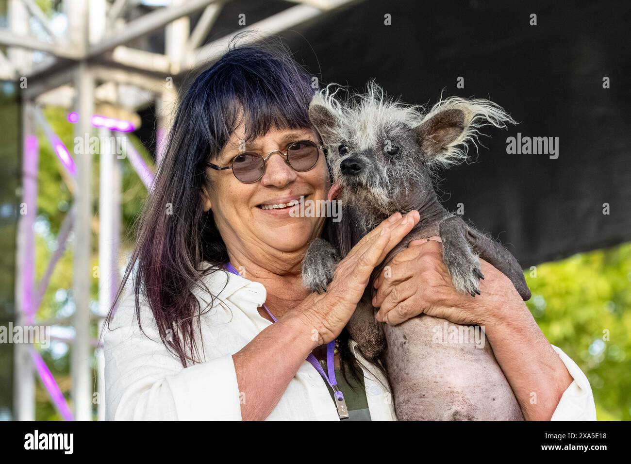 Petaluma, California, Stati Uniti. 23 giugno 2023. Linda Elmquist e "Scooter", una bambina cinese di 7 anni, vincitrice del 2023 World's Ugliest Dog Foto Stock