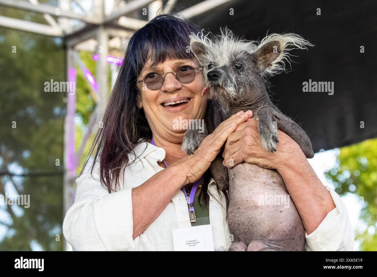Petaluma, California, Stati Uniti. 23 giugno 2023. Linda Elmquist e "Scooter", una bambina cinese di 7 anni, vincitrice del 2023 World's Ugliest Dog Foto Stock