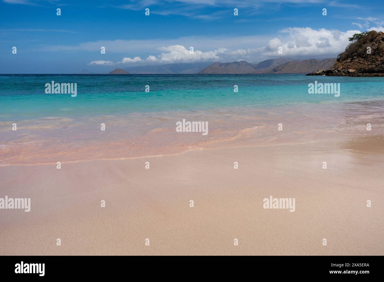 La spiaggia rosa del Parco Nazionale di Komodo, Indonesia Foto Stock