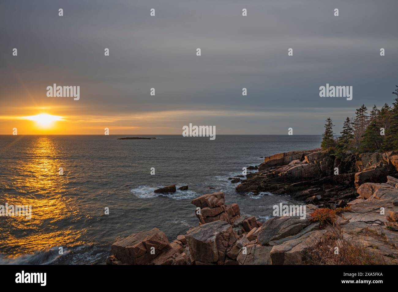 L'alba di novembre dalle Otter Cliffs. Acadia National Park, Maine, Stati Uniti. Foto Stock