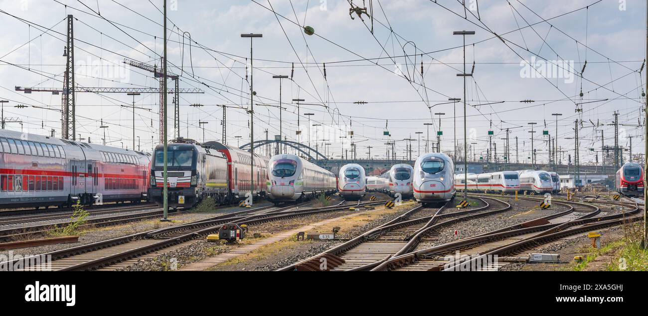 Vista frontale di più treni in piedi sul fianco Foto Stock