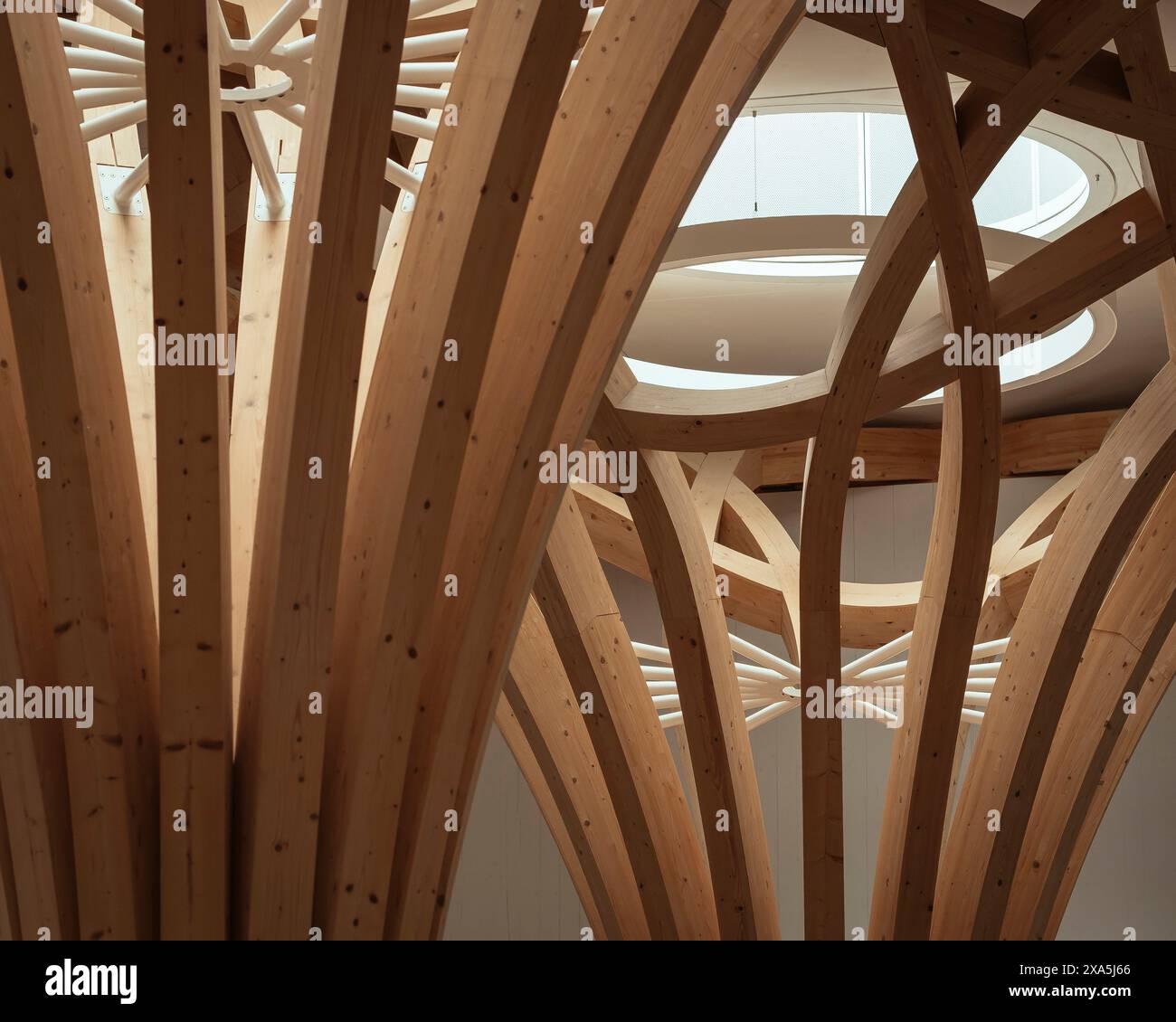 Dettagli della colonna in legno e del reticolo lavorano con il lucernario. Cambridge Mosque, Cambridge, Regno Unito. Architetto: Marks Barfield Architects, 2019. Foto Stock