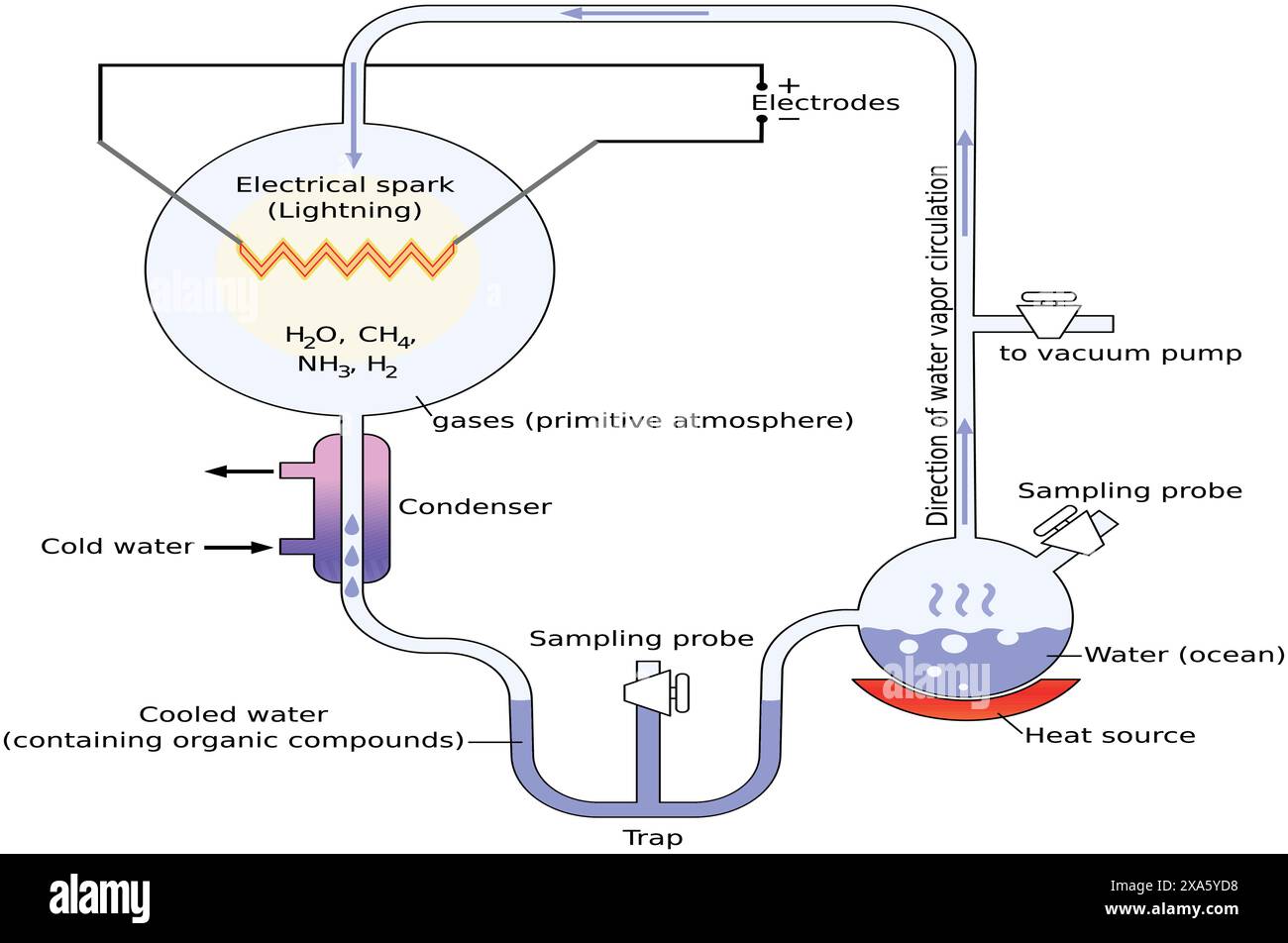 Diagramma dell'esperimento Miller-urey. L'apparato usato nell'esperimento Miller-Urey per studiare l'origine della vita. Risorse scientifiche per insegnanti e studenti. Illustrazione Vettoriale