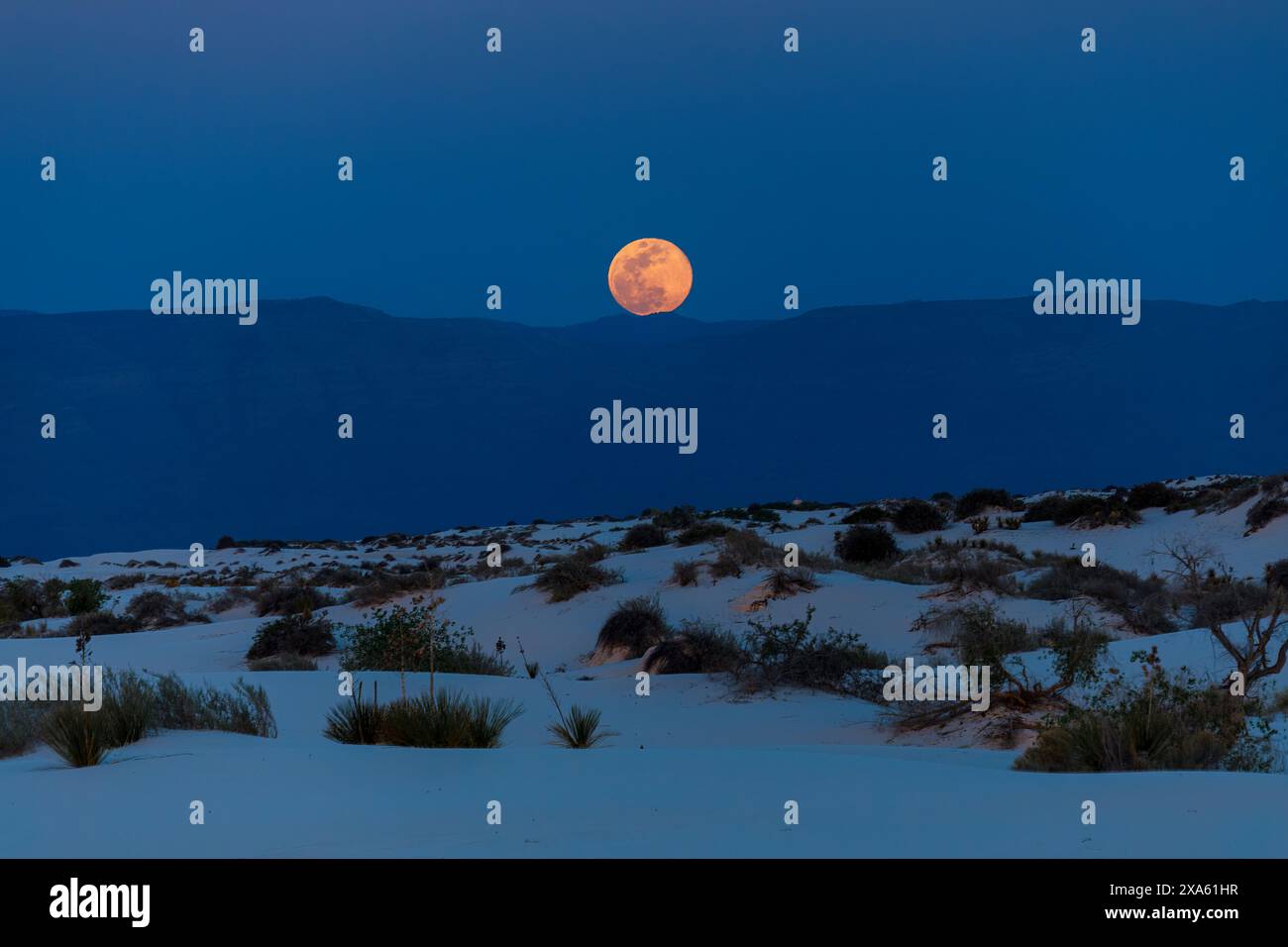 Moonrise a White Sands, New Mexico, USA Foto Stock