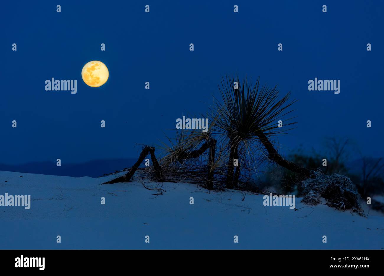 Ore del sorgere, sabbie bianche, Nuovo Messico, STATI UNITI D'AMERICA Foto Stock