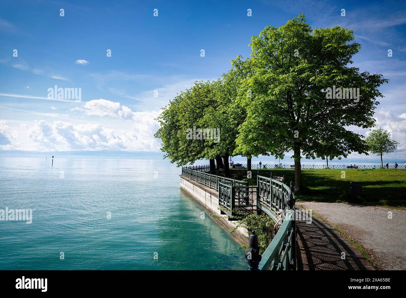 Una strada panoramica costeggiata da alberi e panchine che conduce all'oceano. Foto Stock