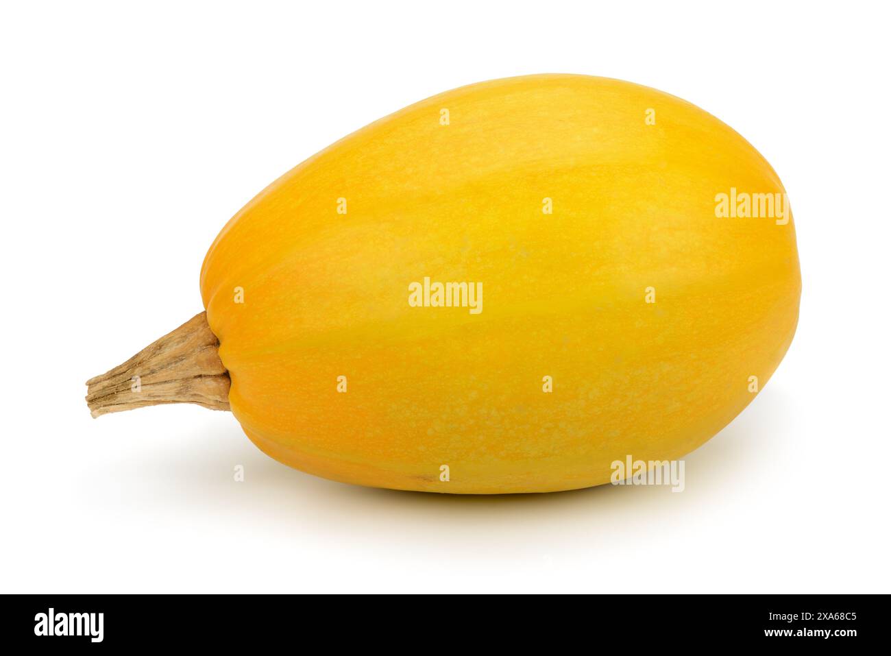 zucca gialla isolata su sfondo bianco Foto Stock